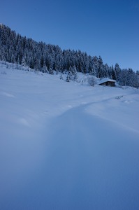web_Lauziere_Frettes_07022010_009