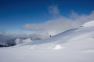 web_Lauziere_Frettes_07022010_033
