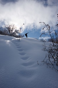 web_Lauziere_Frettes_07022010_026