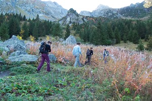 Sortie de la forêt à la cabane.