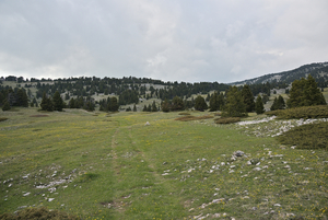 Début du parcours, vers le pré de Toine