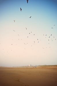 Hossegor, été 2012