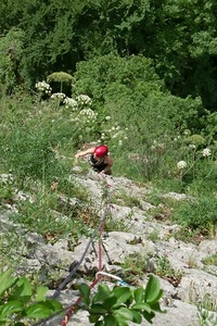Les plaisirs du jardin au pont de Vence