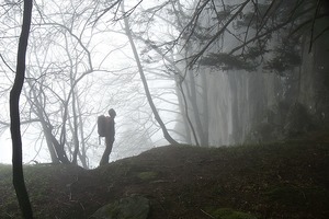 Une véritable ambiance 'forêt enchantée' ce jour-là.