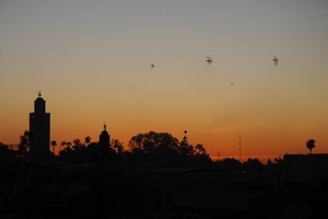 Marrakech