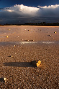 Coorong National Park