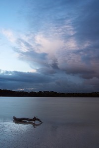 Coorong National Park