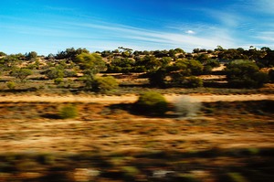 Indian Pacific