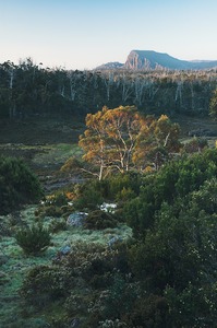 Dusk at Wild Dog Creek campsite, Walls of Jerusalem National Park