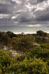 Hangover Bay, Nambung National Park