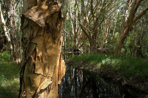 web_australie_dsc4266_srgb