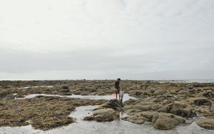 web_bretagne_18082016_dsc6658_srgb